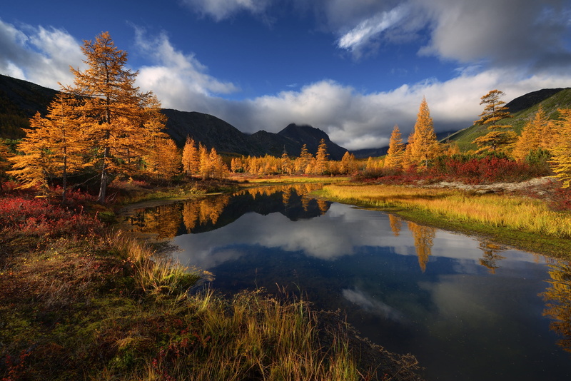 Ridge Cherskogo, 2K, water, stream, autumn, trees, Russia, Magadan oblast, Stream Unknown, mountains