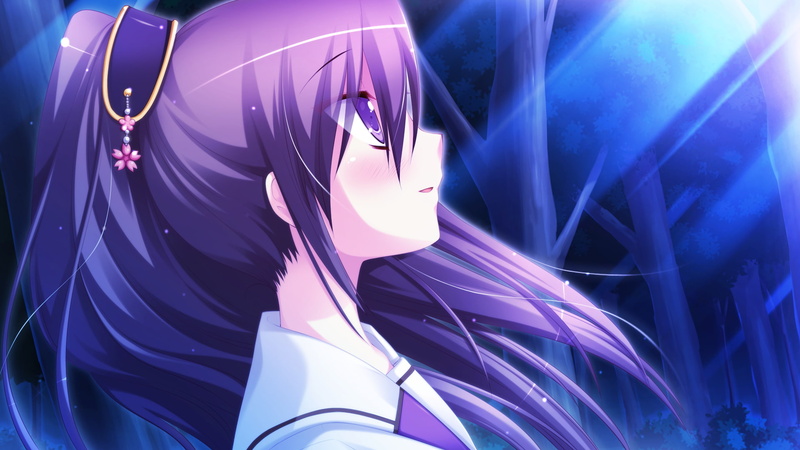 purple, hair, long, 1080P, eyes, ponytail, seifuku, tojoin, genius, kyoka, highspeed, game, risa, miyasu, hyper