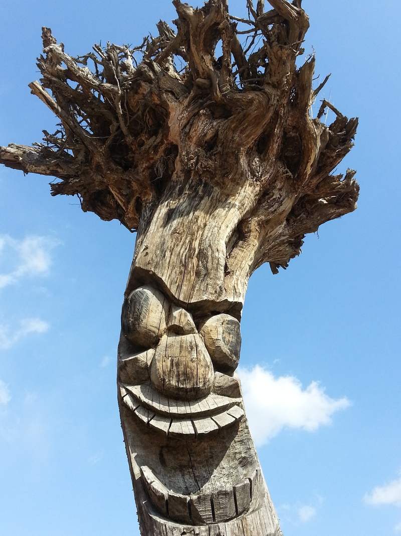outdoors, low angle view, the korean totem pole, pattern, human representation, craft, sky, cloud - sky, genius, no people, tree, tree trunk, 2K, nature