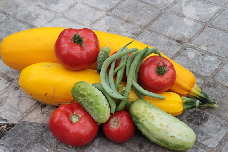 yellow bell pepper, haricots, close-up, fruit, yellow, freshness, still life, bell pepper, haricot, cornichon, tiled floor, food, vegetable, group of objects
