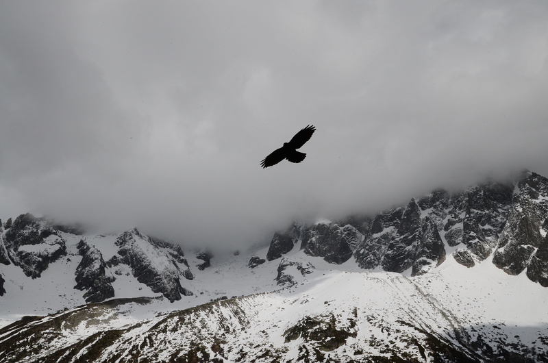 fog, cloud - sky, snowcapped mountain, tree, environment, mountain range, dom, sport, cloudy, snow, nature, beauty in nature, flight, cold, daw, no people