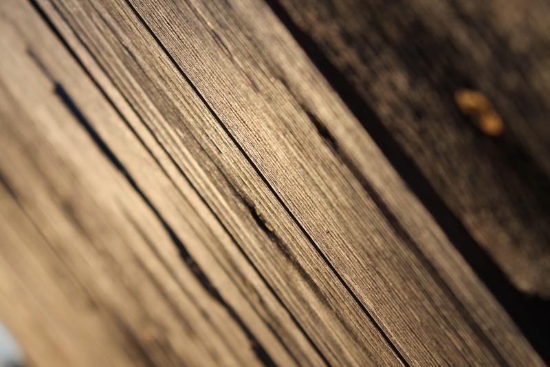 textured, pattern, wood, wood grain, brown, nature, selective focus, backgrounds, slant, no people, rough, outdoors, day, wood - material, natural pattern