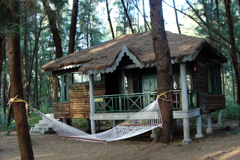 land, tree trunk, wood cabin, india, day, tree, log, wood - material, cabin, casuarina, slanted roof, building, hammock, outdoors, cottage, roof, nature