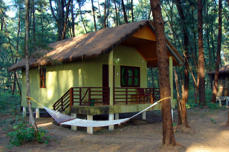 plant, building, building exterior, wood cabin, india, nature, 2K, day, built structure, forest, land, log, slanted roof, outdoors, tree trunk, seat, tranquility