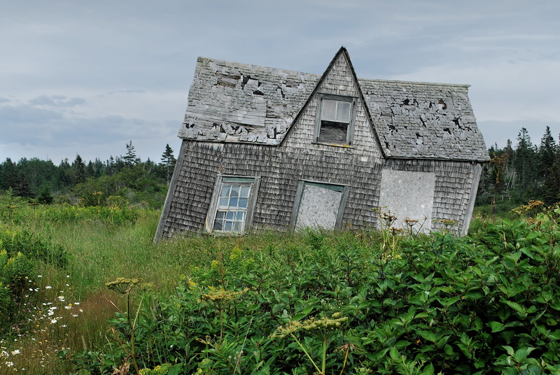 green, structure, rural, overgrown, old, green color, nature, built structure, gray, disuse, plant, cottage, house, derelict, abandoned, 2K, outdoors