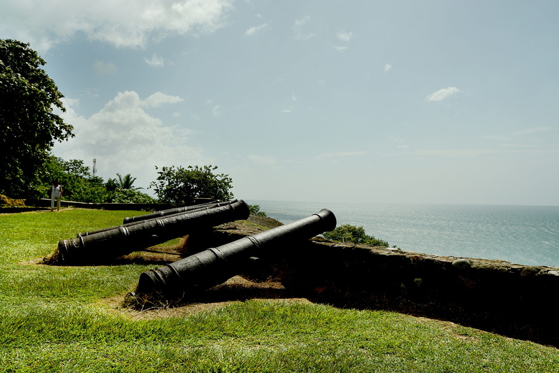 ihah, nature, grass, Honduras, sea, sky, green color, honduras, conflict, plant, barbara, tree, beauty in nature, strong, war, no people, weapon, fighting