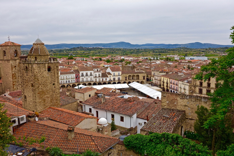 built structure, sky, city, architecture, plant, day, houses, cloud - sky, house, building exterior, rooftops, residential district, red, town, village