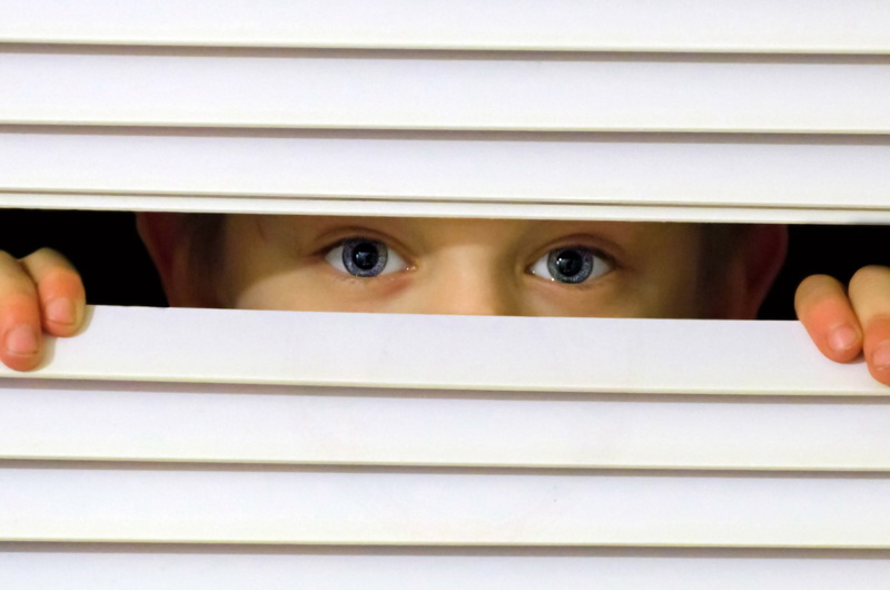 see, observe, human body part, eyes, overview, kid, boy, blinds, human eye, look, hide-and-seek, white, send, women, body part, watching, close-up
