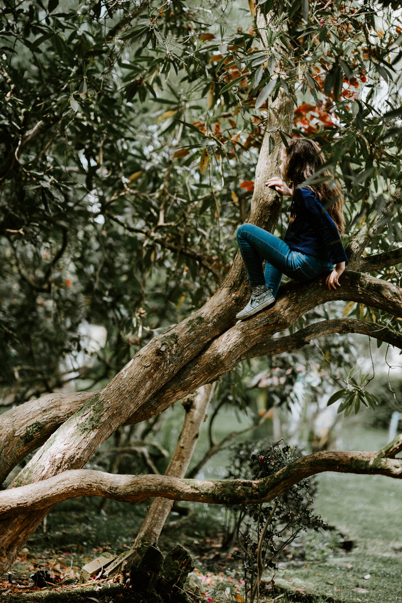 focus on foreground, game, outdoor, beauty in nature, animal, sitting, denim, perching, animal themes, daytime, bird, growth, playing game, one animal