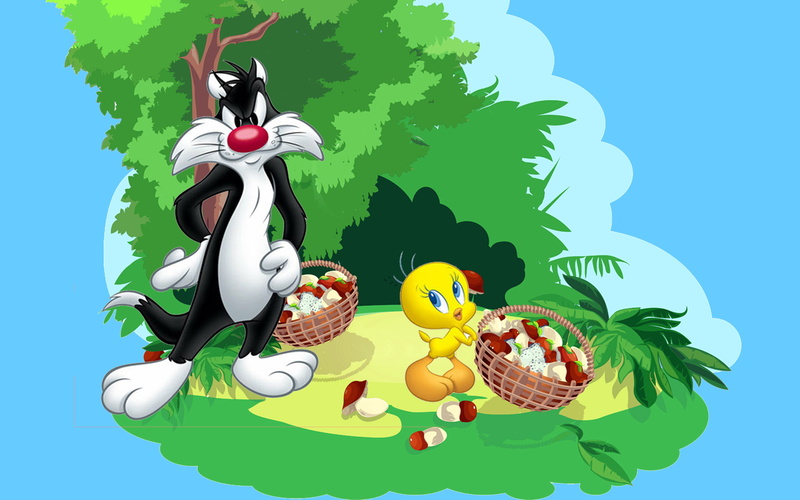2K, cartoon, coloring, tweety, mobile, hd, sylvester, pictures, tablet