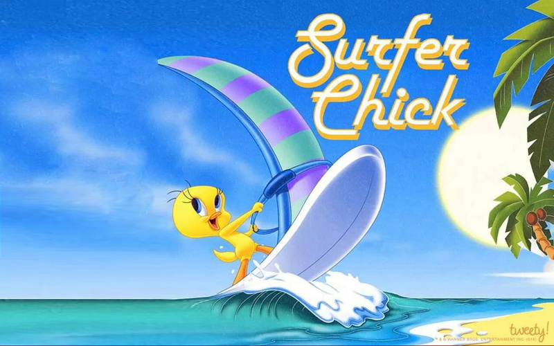 tweety, screen, full, hd, bird, sea, 1080P, sail, desktop, waves, lonnie, cartoon, tounes, surfer