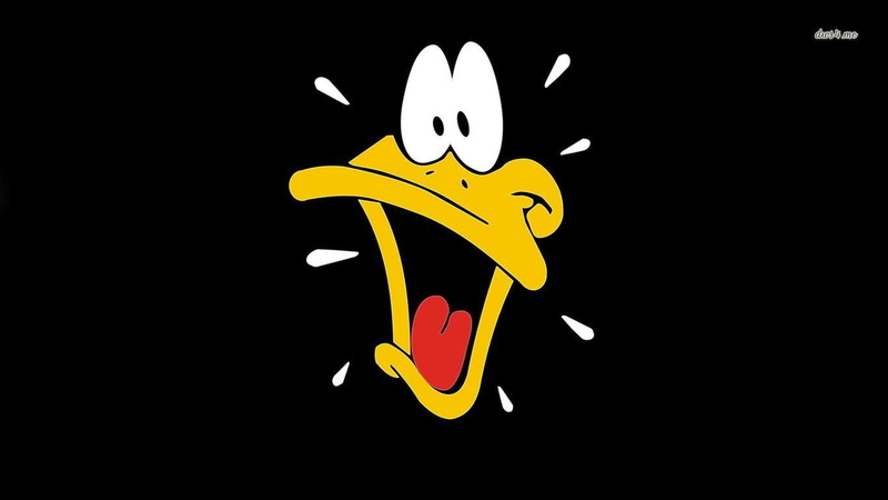 720P, daffy duck