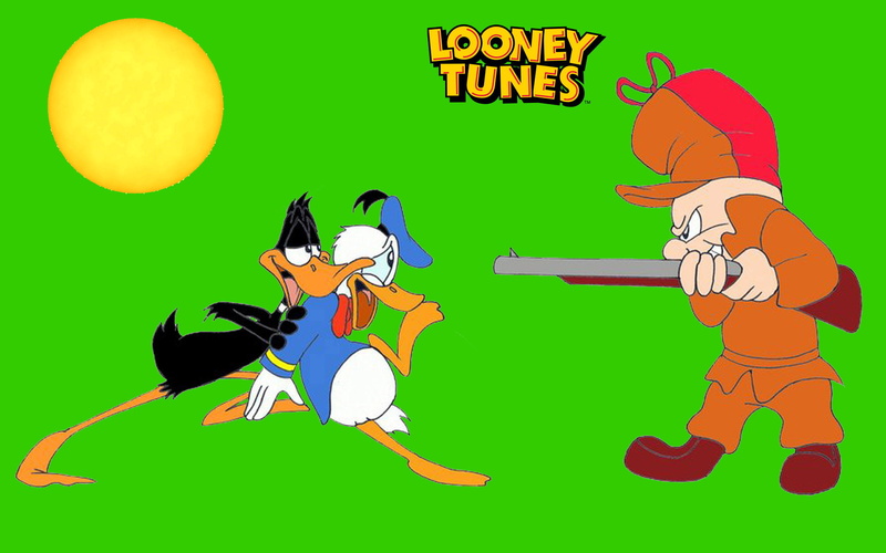 fudd, daffy, desktop, windows, bunny, 1080P, looney, bugs, backgrounds, duck, tunes, cartoons, elmer