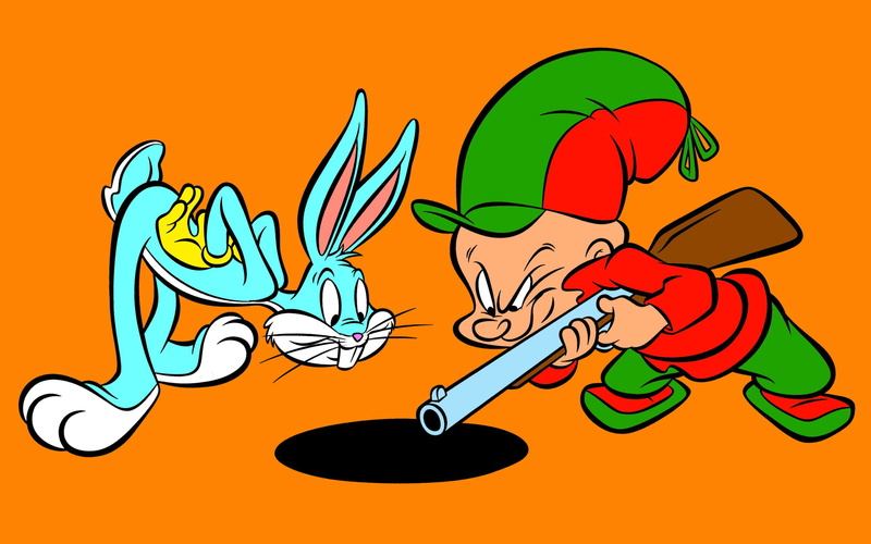 orange color, vertebrate, vegetable, fudd, yellow, looney, people, equipment, desktop, backgrounds, tunes, art and craft, cartoons, red, bunny, close-up