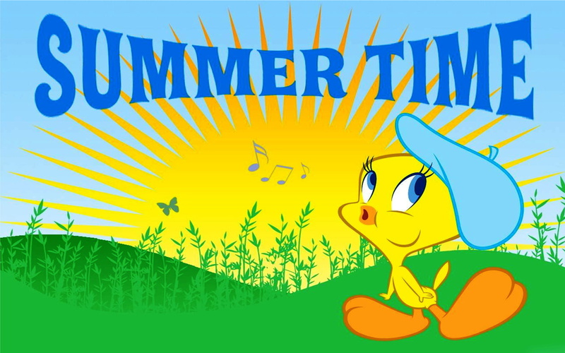 tweety, cartoons, 1080P, times, summer, bird, tunes, hd, looney