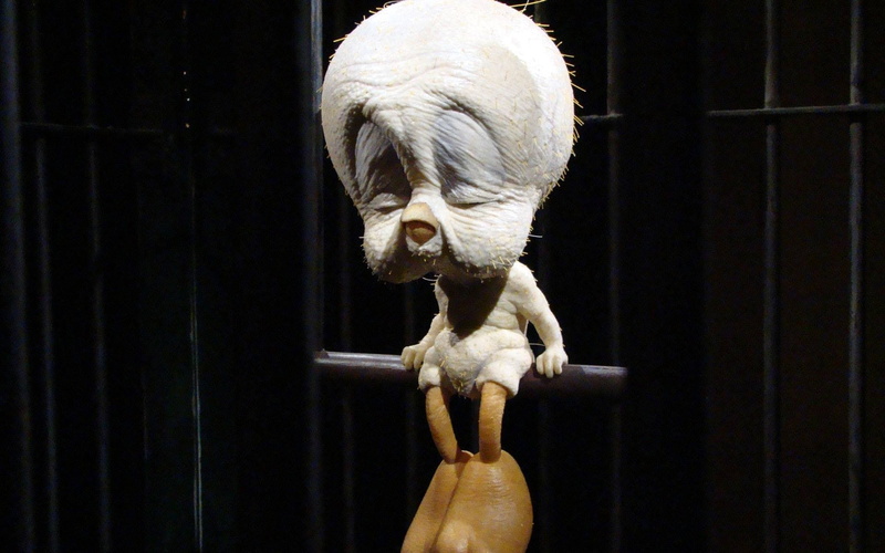 1080P, birds, tweety bird, Sad