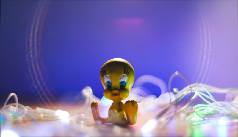 close-up, 5K, yellow, sphere, human representation, fairy lights, religion, ahmedabad, pink, copy space, little bird, indoors, toy, india, purple, light leaks