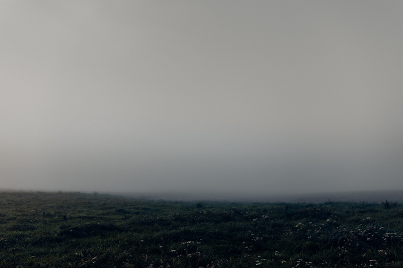 grass, gray, herb, outdoors, clarity, landscape, nature, grey, meadow, flowers, light, minimalist, day, environment, tree, no people, 5K, scenics - nature