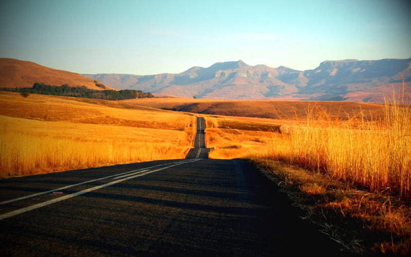 roads, roadrunner, 1080P