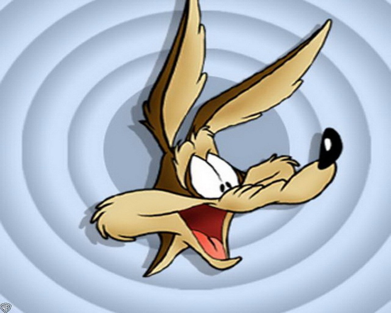 720P, wile e coyote