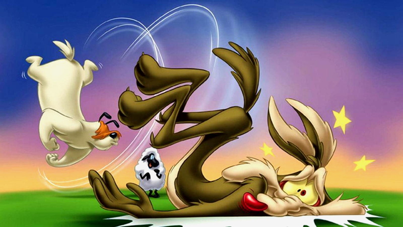 coyote, looney, wile, 720P