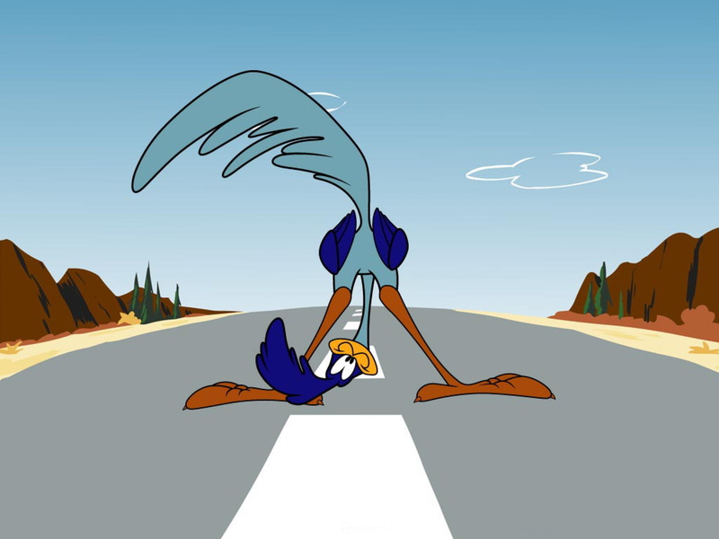 wile, looney, coyote, runner, road, 2K