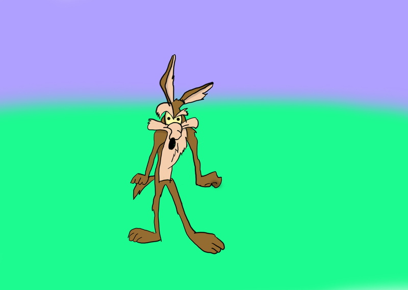 wile, looney, coyote, 2K