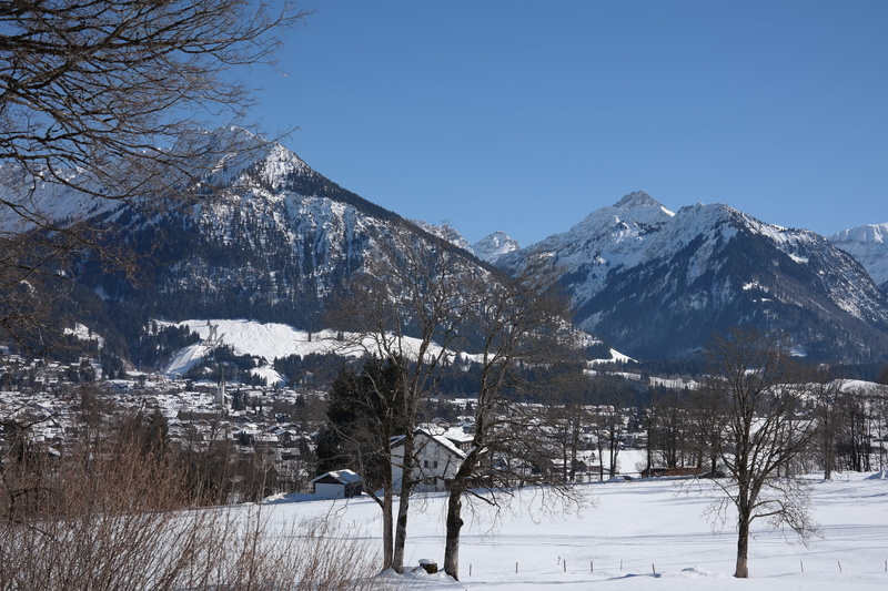snowcapped mountain, clear sky, pine tree, tree, plant, allgäu, shadow mountain, environment, outdoors, ski jump, geis foot, small kleinwalsertal, foghorn