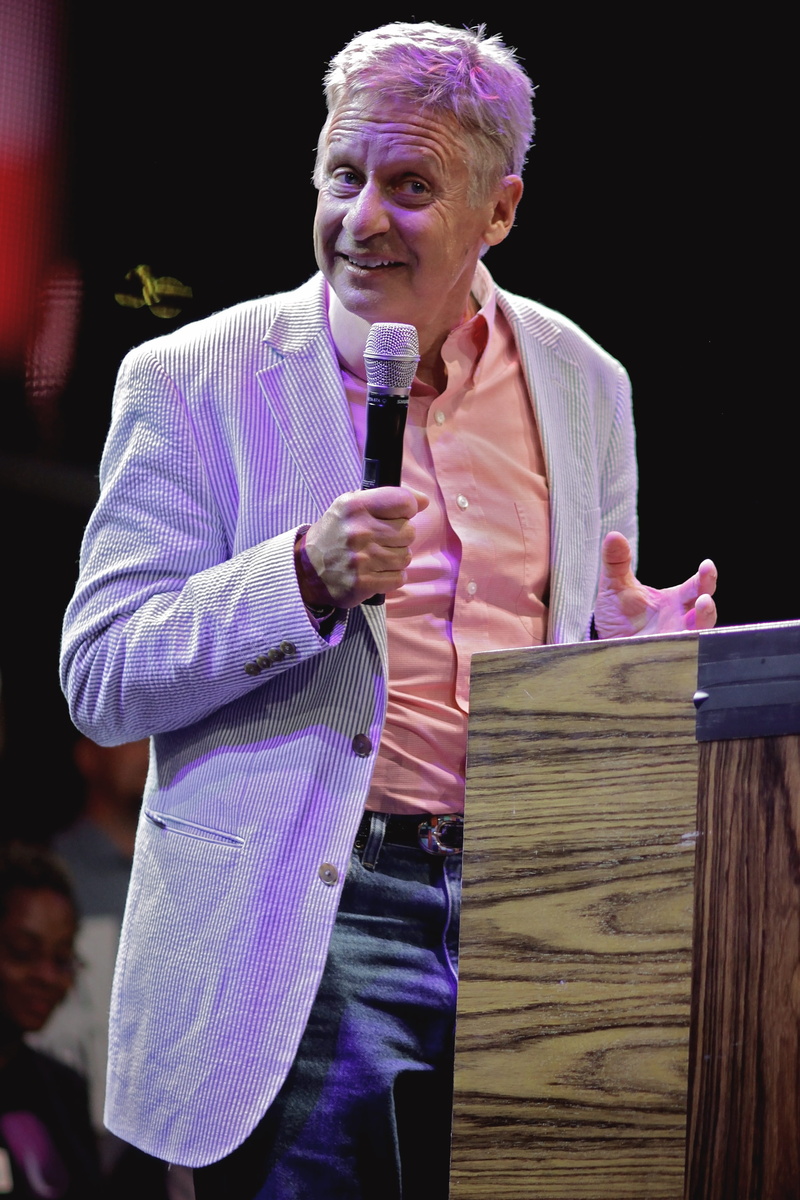 President, real people, one person, libertarian, 2016, mature adult, presidential, females, women, waist up, people, holding, candidate, Election, gray hair