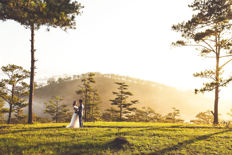 tree, full length, bride, trees, man, fashion, women, adult, cuddling, young adult, vietnam, clothing, beauty in nature, groomsman, one person, woman, landscape