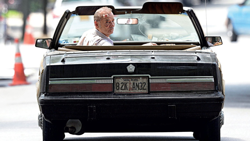 1080P, Bill Murray, Movie, St. Vincent