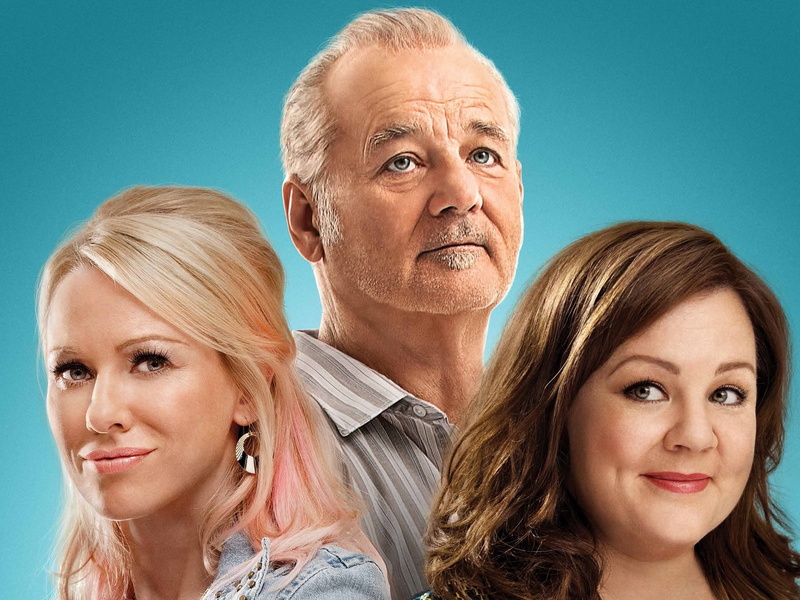 colored background, group of people, man, melissa mccarthy, positive emotion, headshot, hair, portrait, looking at camera, smiling, blue, mature adult