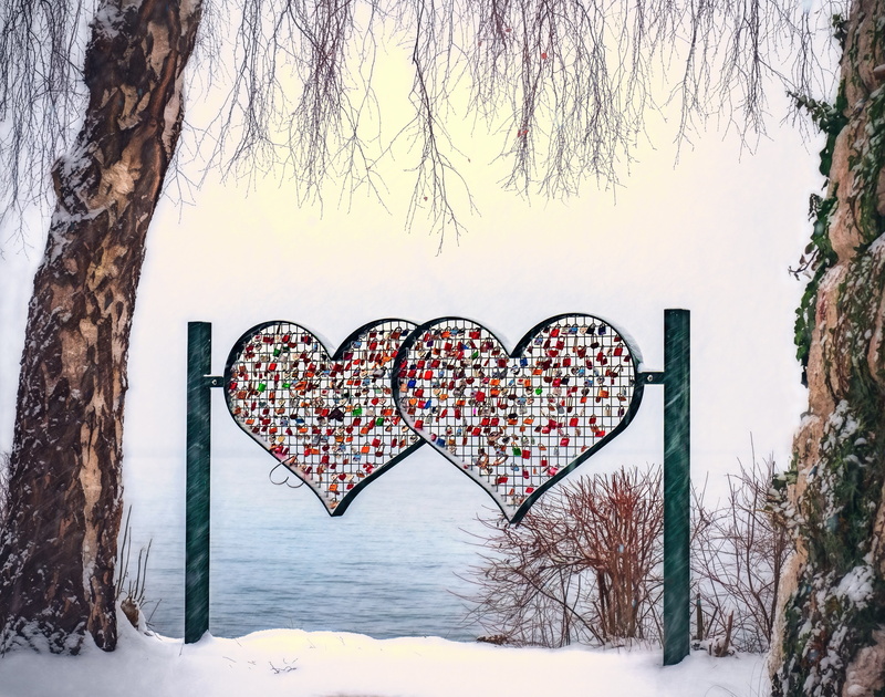 tree trunk, frosty, plant, romantic, ice, atmosphere, romance, sky, stand, bare tree, gorgeous, valentines day, in love, couple, covering, snow, shape