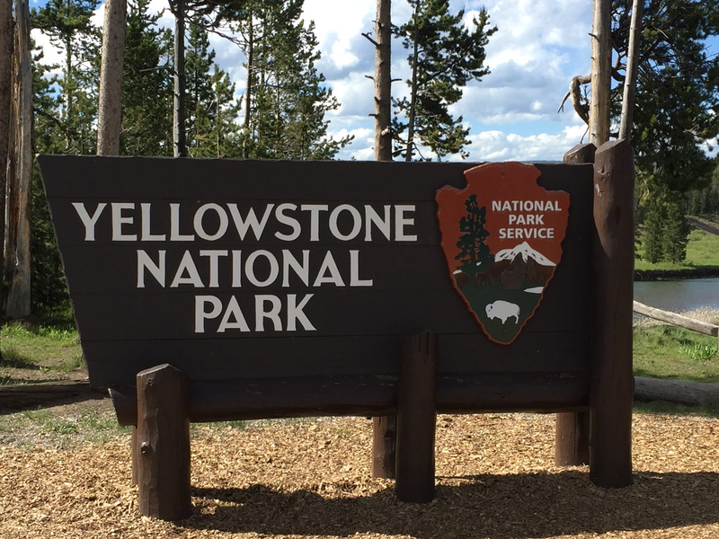 communication, capital letter, Sign, information, information sign, tree, message, no people, sunlight, 2K, text, national, yellowstone, nature, day, park - man made space