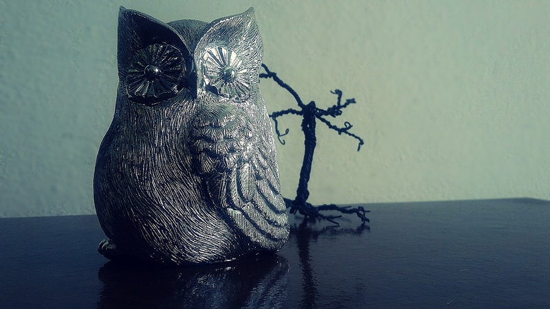 creativity, close-up, animal themes, one animal, wall - building feature, 2K, animal wildlife, garnish, animal, pedagogy, owl, animal representation, wisdom