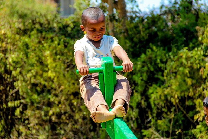 holding, men, child, nature, 4K, growth, childhood, green, focus on foreground, outdoors, gardening, boys, green color, poverty, tree, school, leisure activity