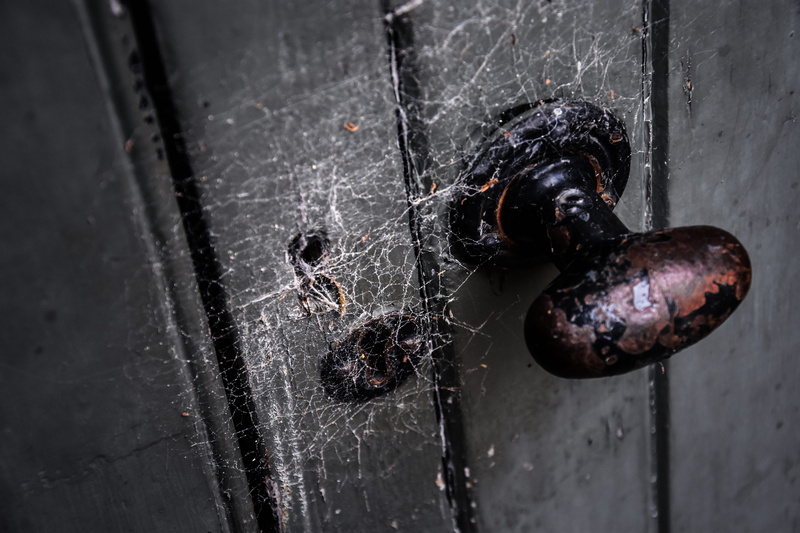 black color, one animal, spider, melrose, 5K, abandoned, black, melrose abbey, animal, day, focus on foreground, animal themes, wet, metal, summer, close-up