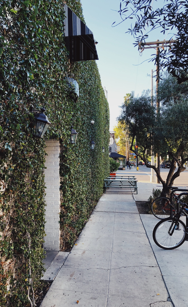 hedge, outdoors, building exterior, the way forward, growth, united states, day, building, built structure, footpath, plant, transportation, nature, direction