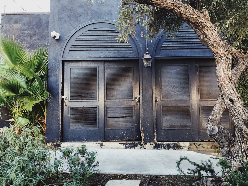wood - material, closed, day, built structure, growth, building exterior, plant, abandoned, garage, entrance, window, residential district, nature, tree