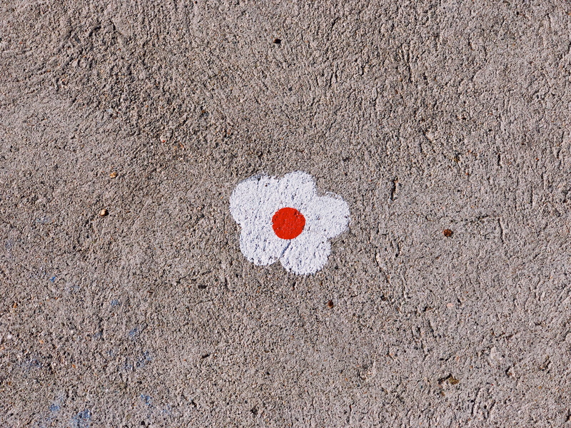 nature, 4K, creativity, texture, textured, high angle view, painting, emotion, land, white, sidewalk, blossom, heart shape, paint, art, close-up, closeup