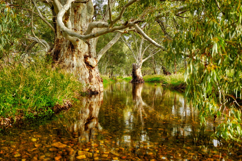 Stream, South Australia, Melrose, landscape, 5K