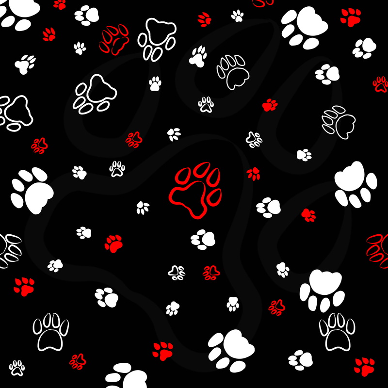 black background, indoors, floral pattern, textile, abstract, black color, white color, patterns, backgrounds, no people, illuminated, full frame, lighting equipment