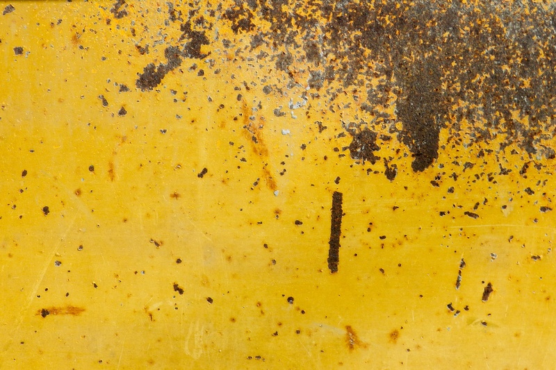 outdoors, beauty in nature, old, insect, rusty, no people, animals in the wild, dirty, brown, animal wildlife, animal, autumn, dirt, colony, full frame