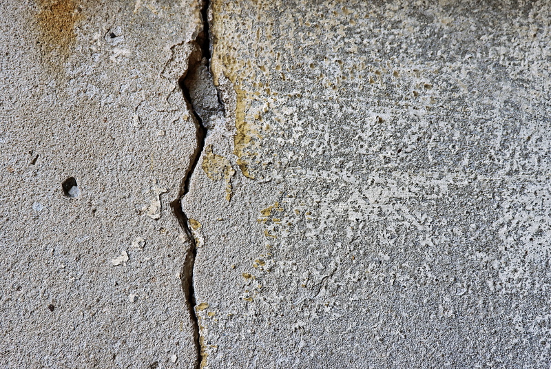 invertebrate, rock, insect, cement, 2K, slate, textured effect, peeled, old, outdoors, backgrounds, cracked, concrete, architecture, run-down, wall - building feature