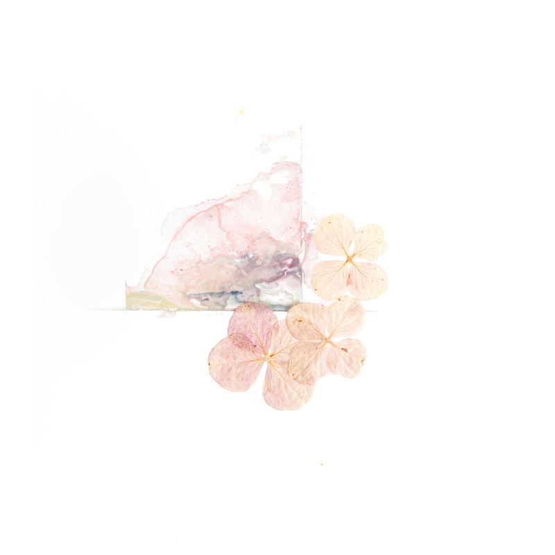 art, multi Colored, artistic, beauty, glass, botanical, neutral, botany, abstract, isolated, 4K, background, japan, close-up, pattern, paint, still, close up