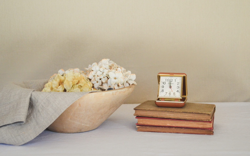 flowering plant, calm, wall - building feature, simplicity, texture, container, relaxation, soft, studio shot, stacked, clock, food, still life, flower