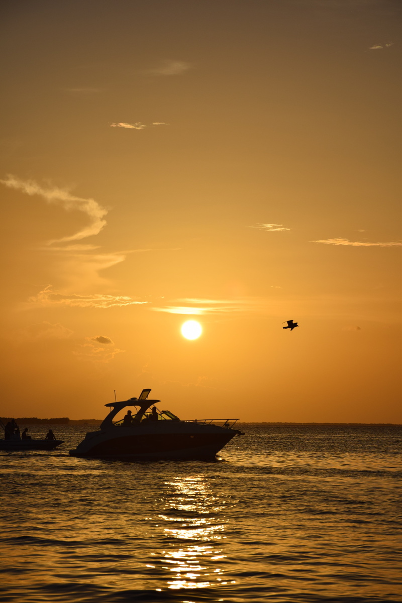 transportation, bird, ocean, tropical birds, beauty in nature, scenics - nature, united states, salt water, eventide, waterfront, nature, landscape, water