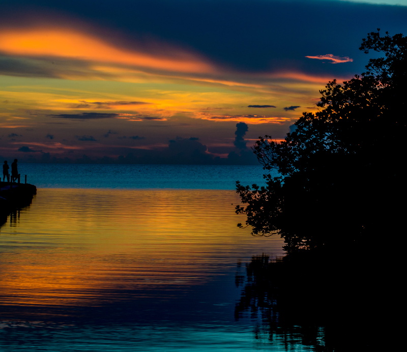 scenics - nature, sky, blue, no people, idyllic, reflection, plant, outdoors, nature, fiesta key rv resort and marina, soothing, cloud - sky, tranquility