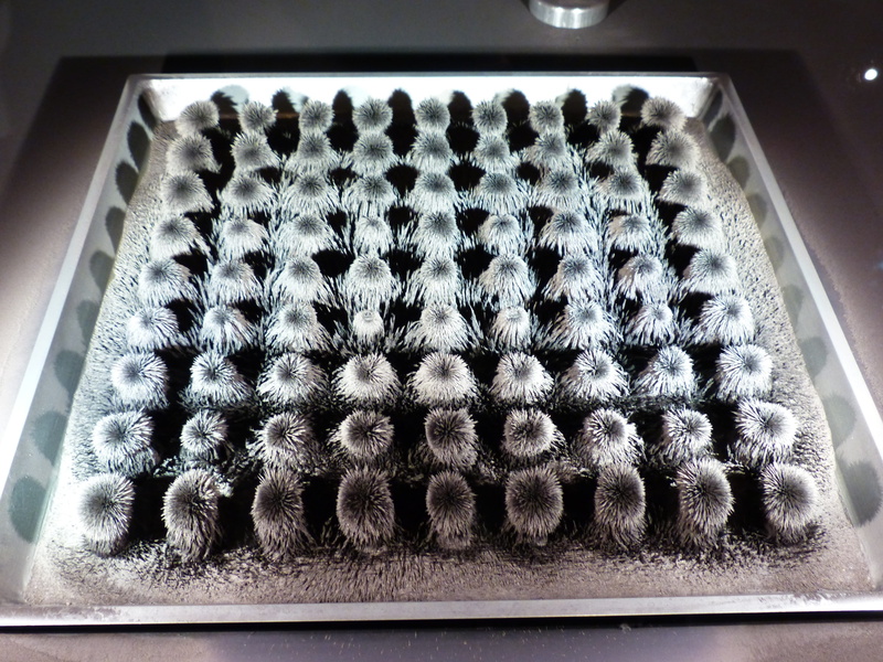 magnetism, food and drink, experimantalmuseum, artwork, indoors, high angle view, in a row, baking sheet, iron powder, arrangement, experiment, no people