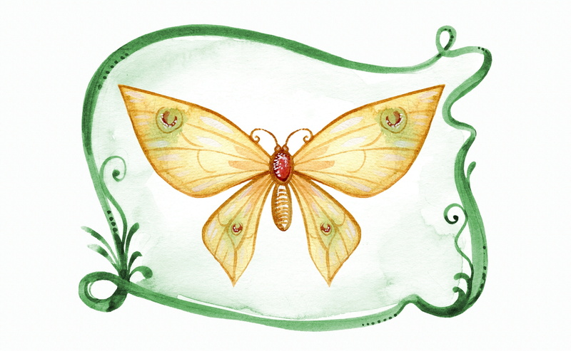 white background, close-up, animal themes, Decoration, watercolor painting, Painting, green color, art, animal, cut out, nature, no people, aquarelle, one animal